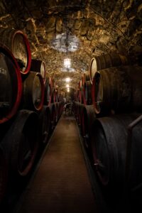 Wide-angle photo of a cellar corridor lined with wine barrels at Castle Rametz