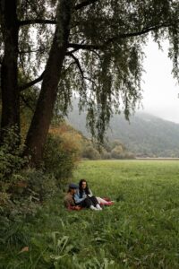 Distant photo of a couple reading on a picnic blanket beneath a large tree