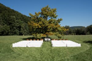 Wide-angle view of the ceremony location beneath a large tree with white benches