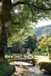 The wedding couple walks hand in hand across a bridge beneath a large tree